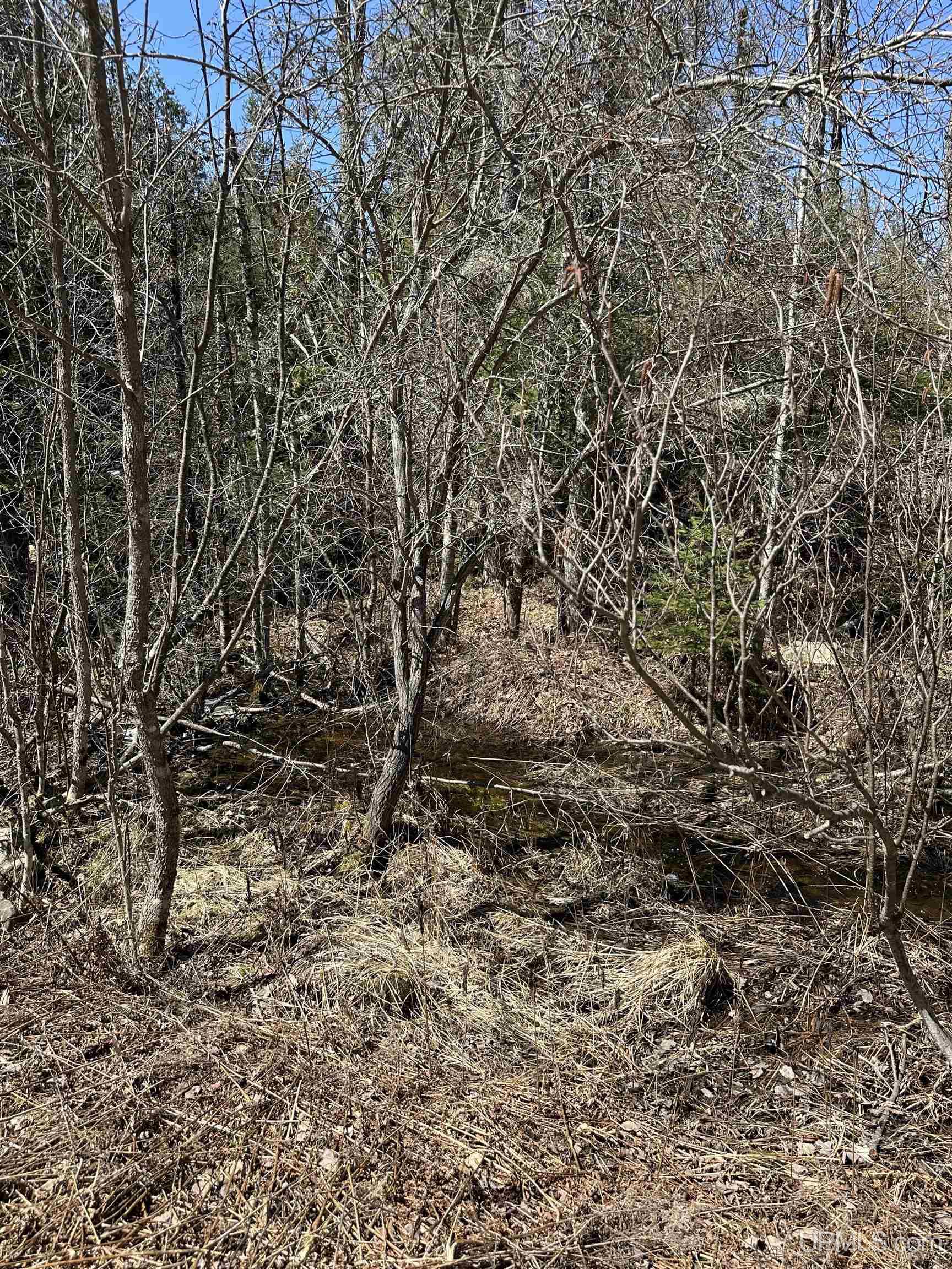 69 Old 69 Road Crystal Falls, MI 49920 - Photo 13 of 21