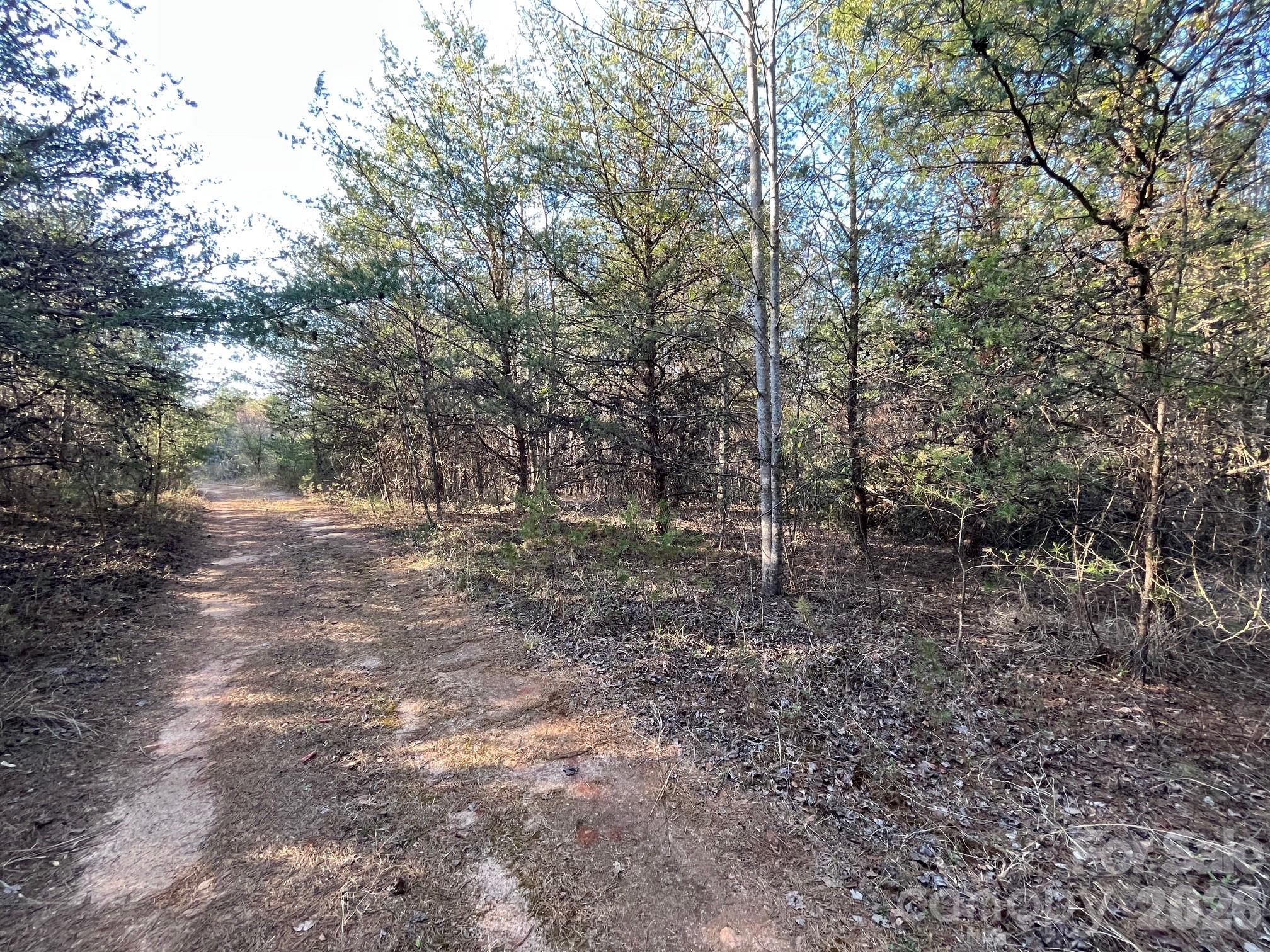 Tbd Southern Way Nebo, NC 28761 - Photo 22 of 22