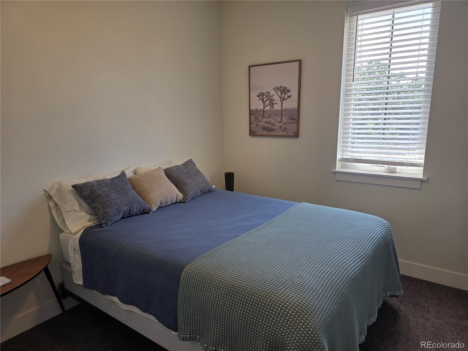 948 Raleigh Street Denver, CO 80204 - Photo 27 of 46 Gallery Image 27