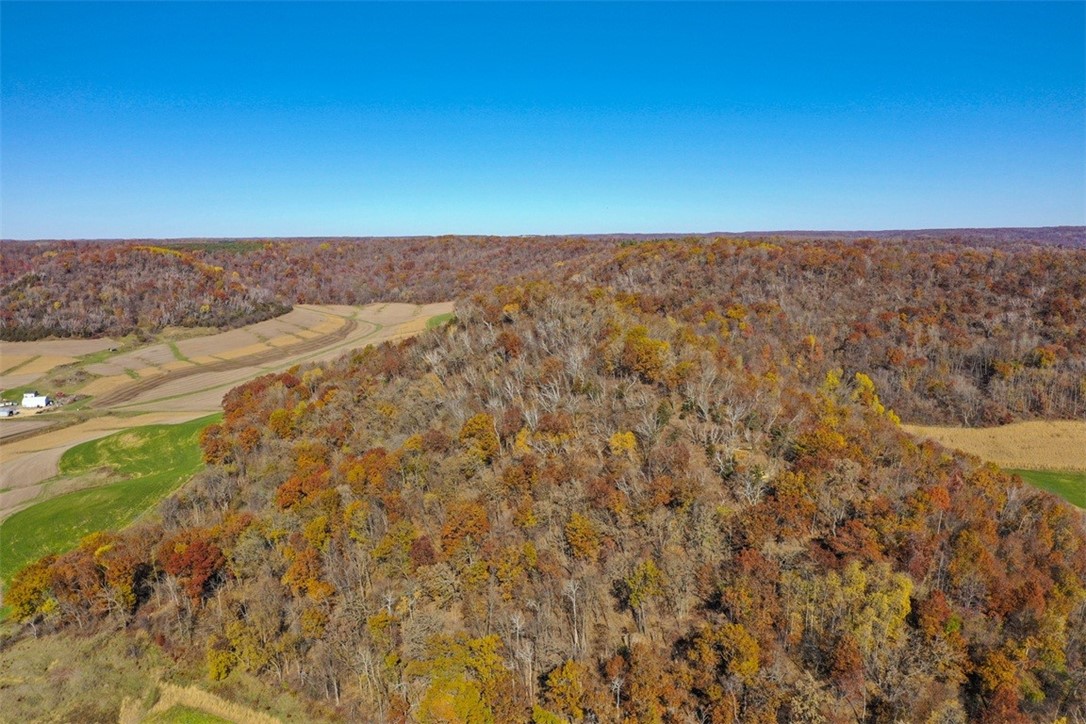 0 County Kk Alma, WI 54610 - Photo 13 of 58