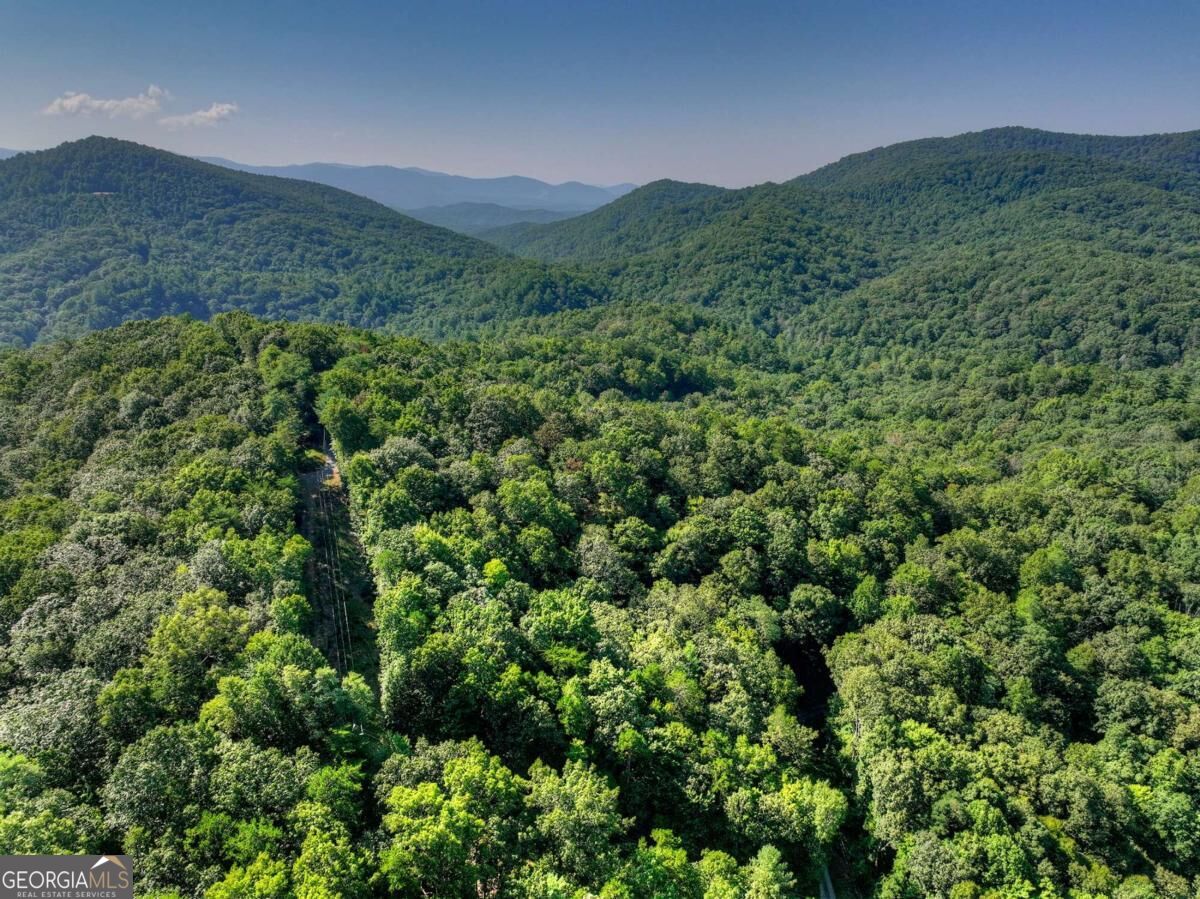3.6-ac Prince Mountain Road Cherry Log, GA 30522 - Photo 13 of 22 Gallery Image 13