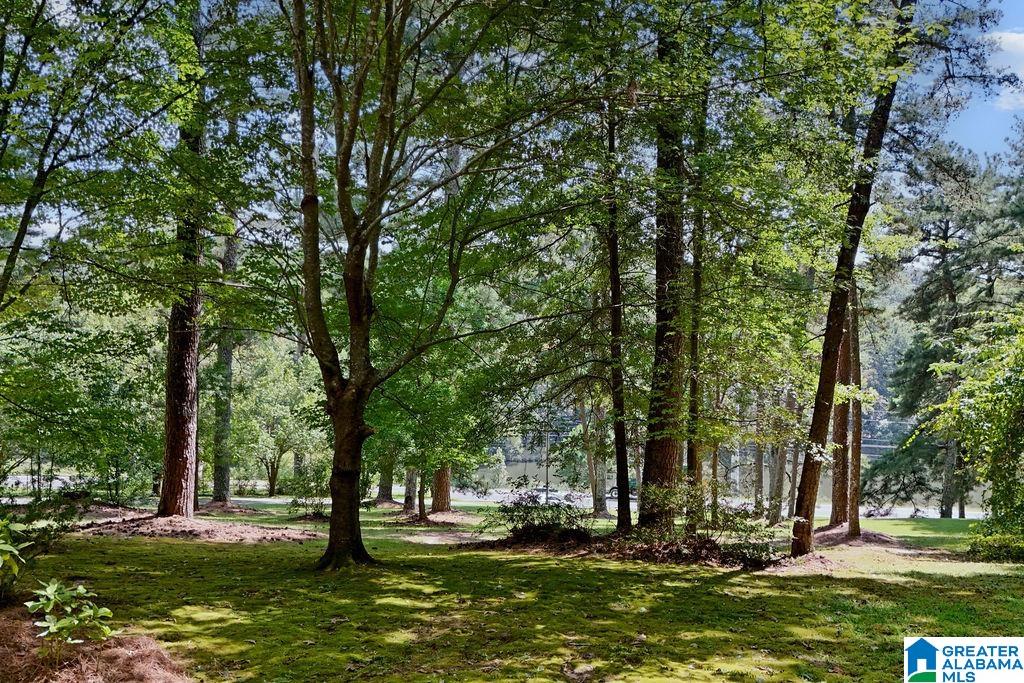 6922 Roper Road Trussville, AL 35173 - Photo 45 of 46 Gallery Image 45