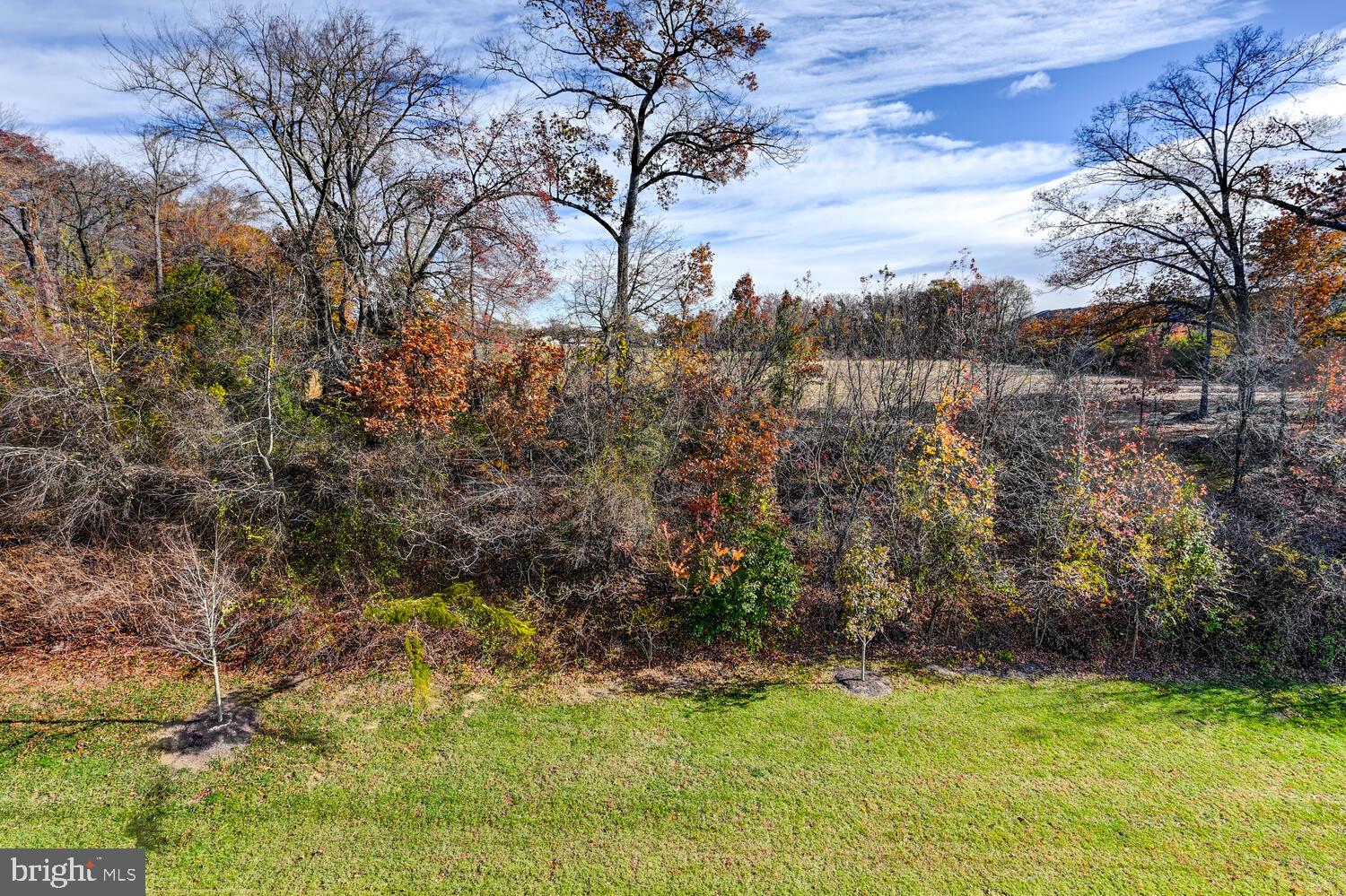10866 Beckenham Street Baltimore, MD 21220 - Photo 36 of 45 Rear view