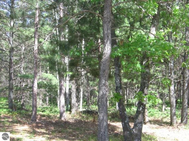 3230 Cripps Road Luzerne, MI 48636 - Photo 4 of 22 1791218-3.JPG