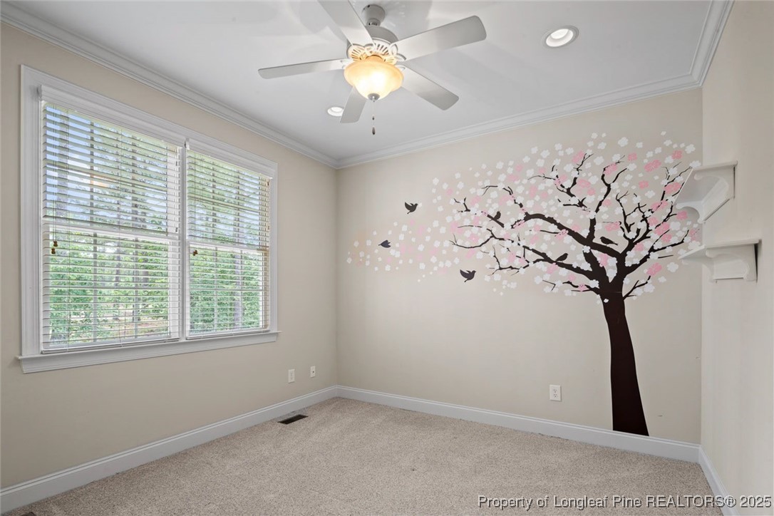 259 Rolling Pines Drive Spring Lake, NC 28390 - Photo 34 of 50 a view of a window in a room