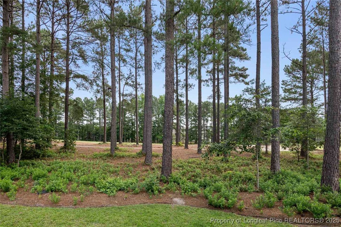 259 Rolling Pines Drive Spring Lake, NC 28390 - Photo 47 of 50