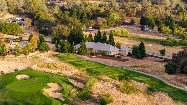 a view of a park with large trees
