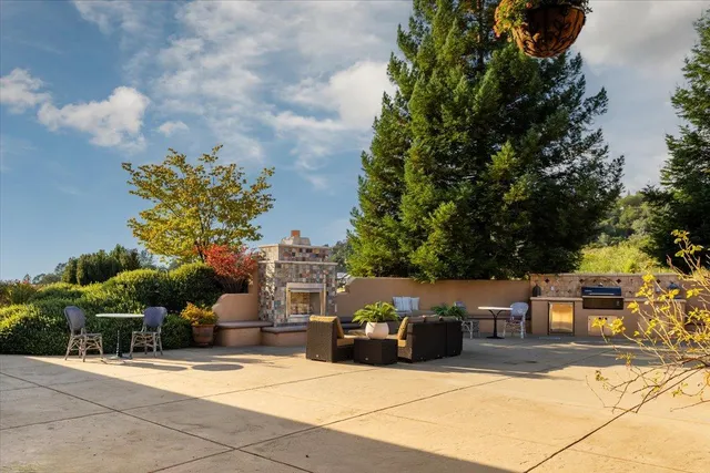 a view of a garden with plants and large trees