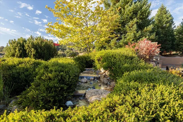 a view of a yard with plants and trees
