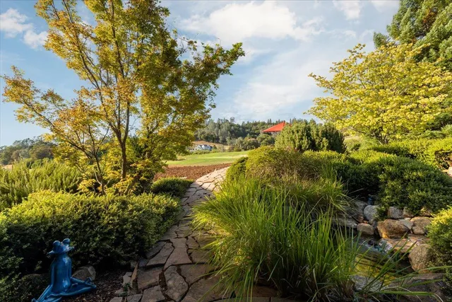 a view of a garden from a house