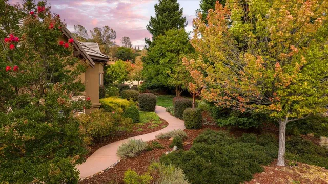 a view of a tree with a yard