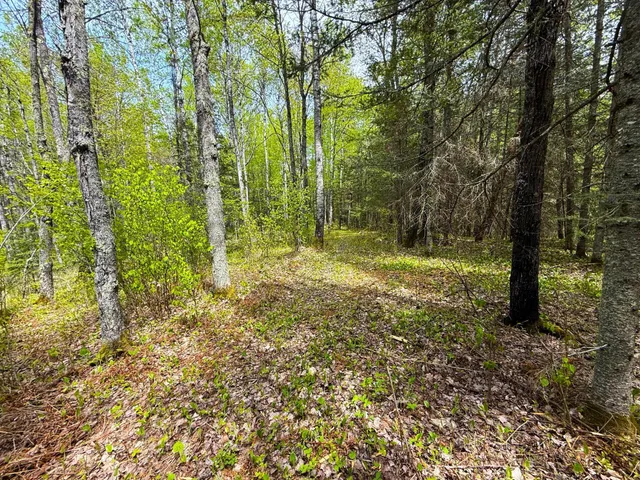 $47,000 | 72-xx East Central Lakes Road, Eveleth, MN 55734