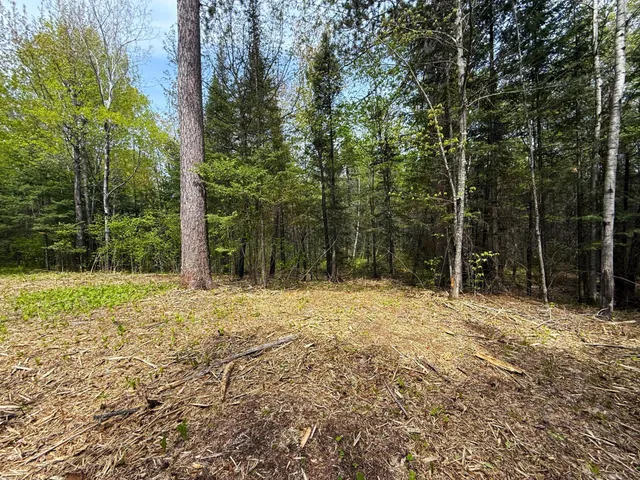 $47,000 | 72-xx East Central Lakes Road, Eveleth, MN 55734