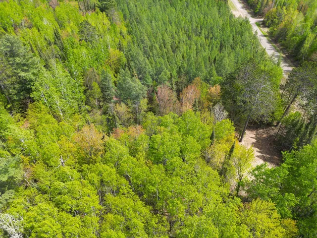 $47,000 | 72-xx East Central Lakes Road, Eveleth, MN 55734