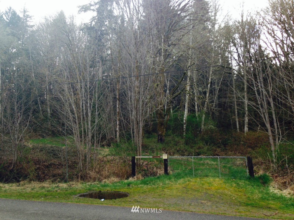 -xxxx Linger Longer Road Quilcene, WA 98376 - Photo 2 of 16 Gallery Image 2