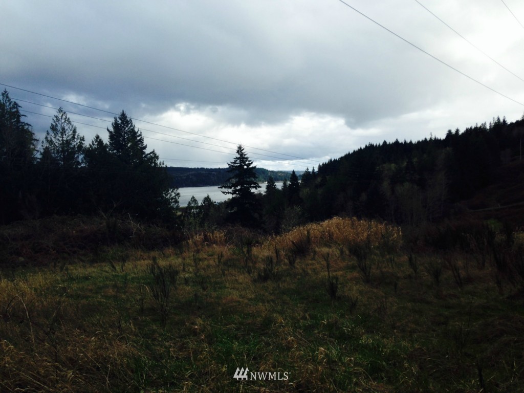-xxxx Linger Longer Road Quilcene, WA 98376 - Photo 11 of 16 Gallery Image 11