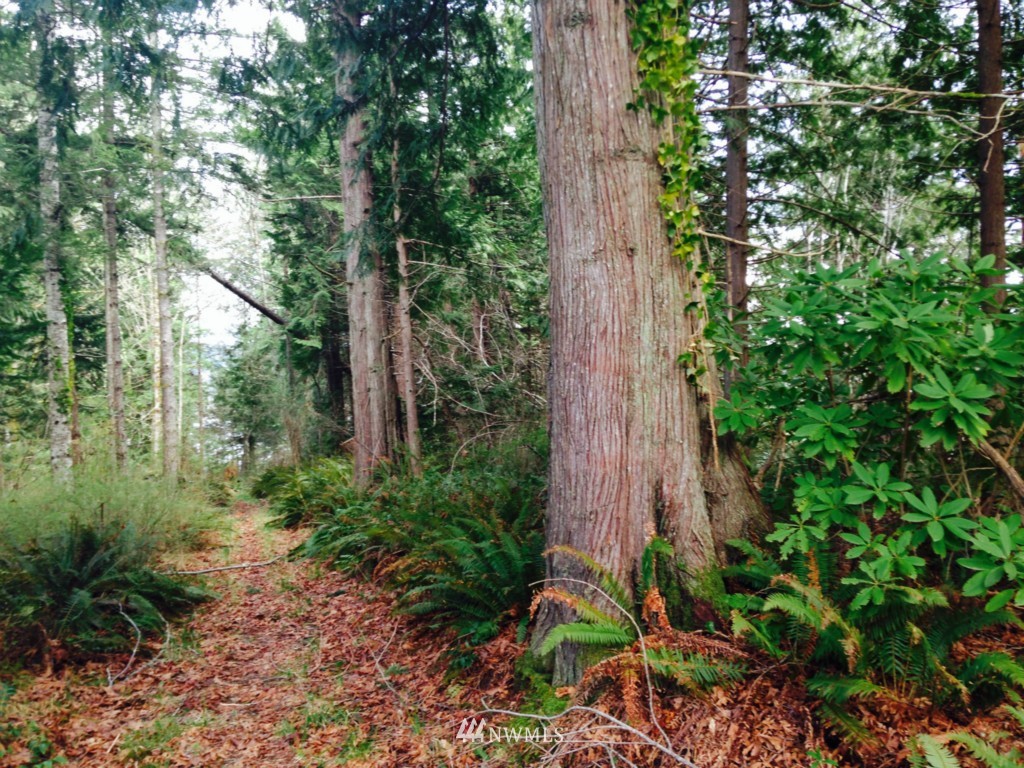 -xxxx Linger Longer Road Quilcene, WA 98376 - Photo 12 of 16 Gallery Image 12