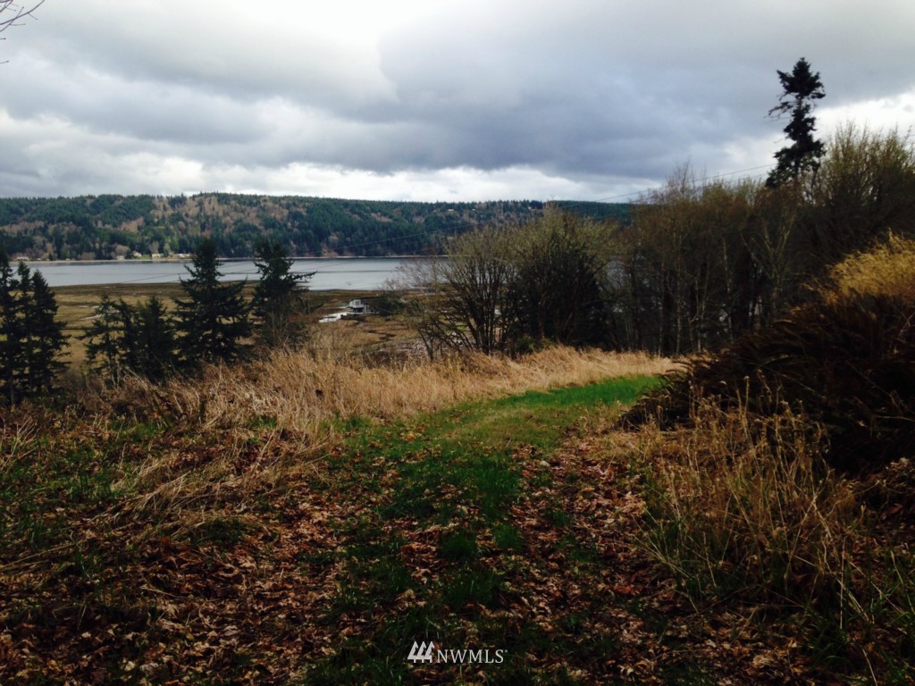 -xxxx Linger Longer Road Quilcene, WA 98376 - Photo 13 of 16 Gallery Image 13
