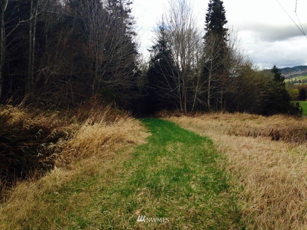 -xxxx Linger Longer Road Quilcene, WA 98376 - Photo 14 of 16 Gallery Image 14