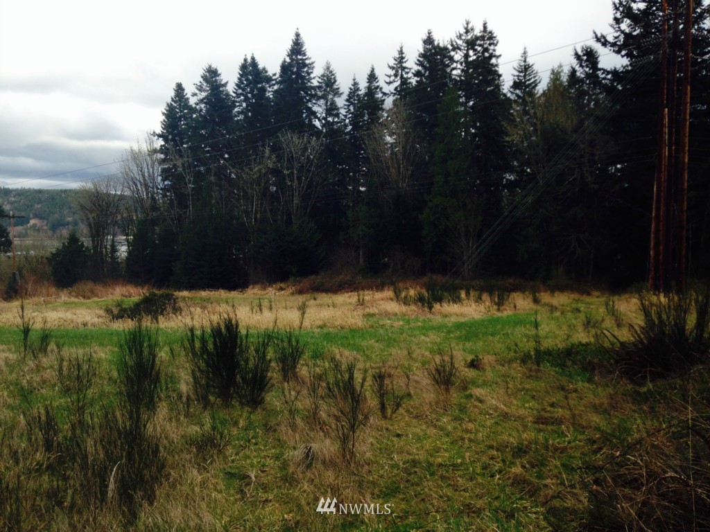 -xxxx Linger Longer Road Quilcene, WA 98376 - Photo 16 of 16 Gallery Image 16