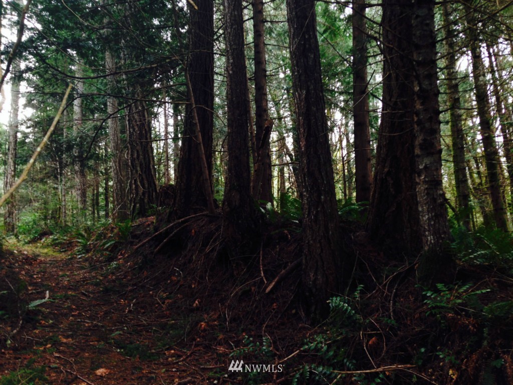 -xxxx Linger Longer Road Quilcene, WA 98376 - Photo 3 of 16 Gallery Image 3