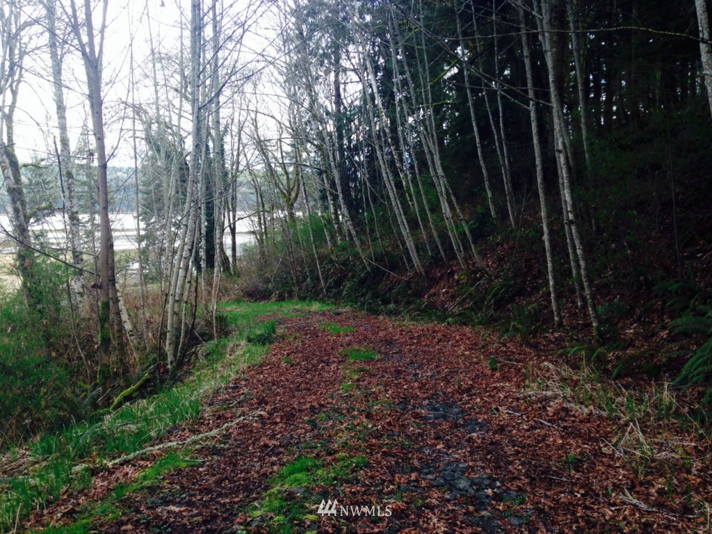 -xxxx Linger Longer Road Quilcene, WA 98376 - Photo 4 of 16 Gallery Image 4