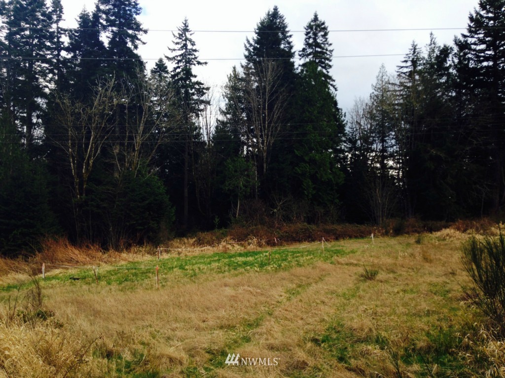 -xxxx Linger Longer Road Quilcene, WA 98376 - Photo 5 of 16 Gallery Image 5