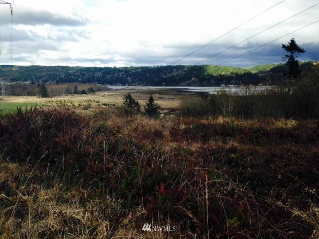 -xxxx Linger Longer Road Quilcene, WA 98376 - Photo 6 of 16 Gallery Image 6