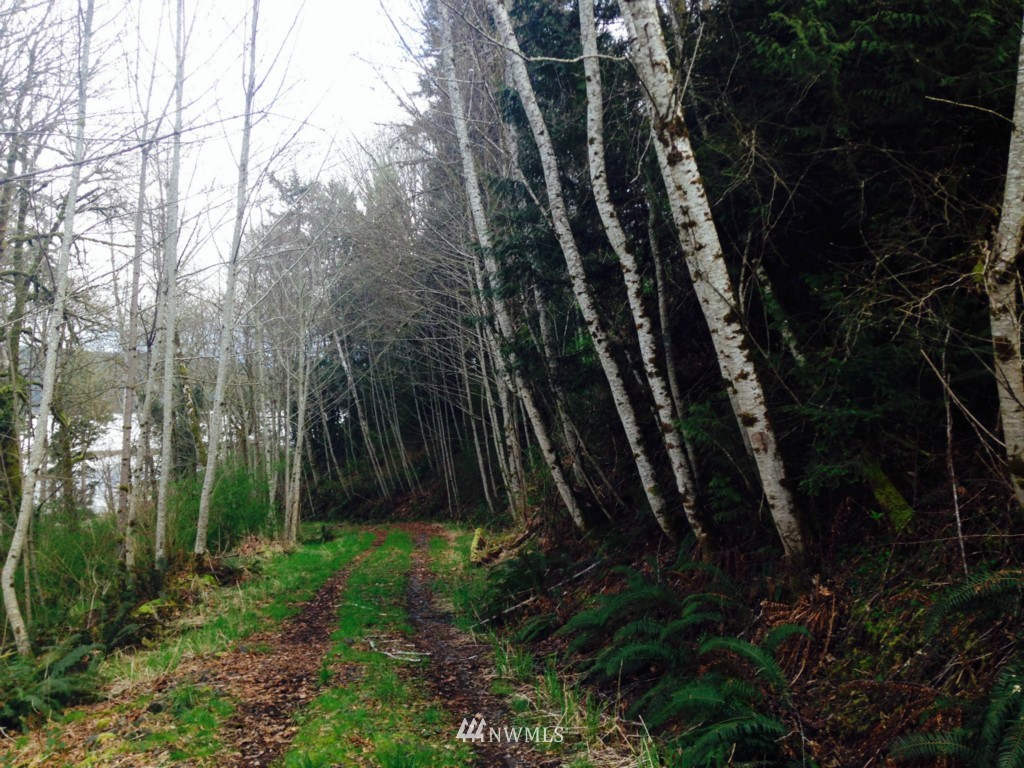 -xxxx Linger Longer Road Quilcene, WA 98376 - Photo 7 of 16 Gallery Image 7