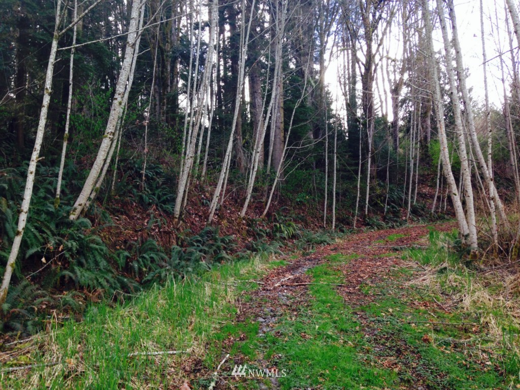 -xxxx Linger Longer Road Quilcene, WA 98376 - Photo 8 of 16 Gallery Image 8