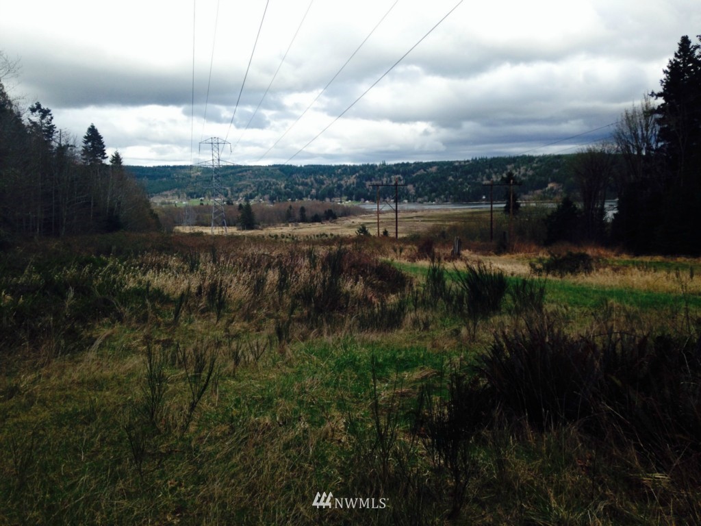 -xxxx Linger Longer Road Quilcene, WA 98376 - Photo 10 of 16 Gallery Image 10