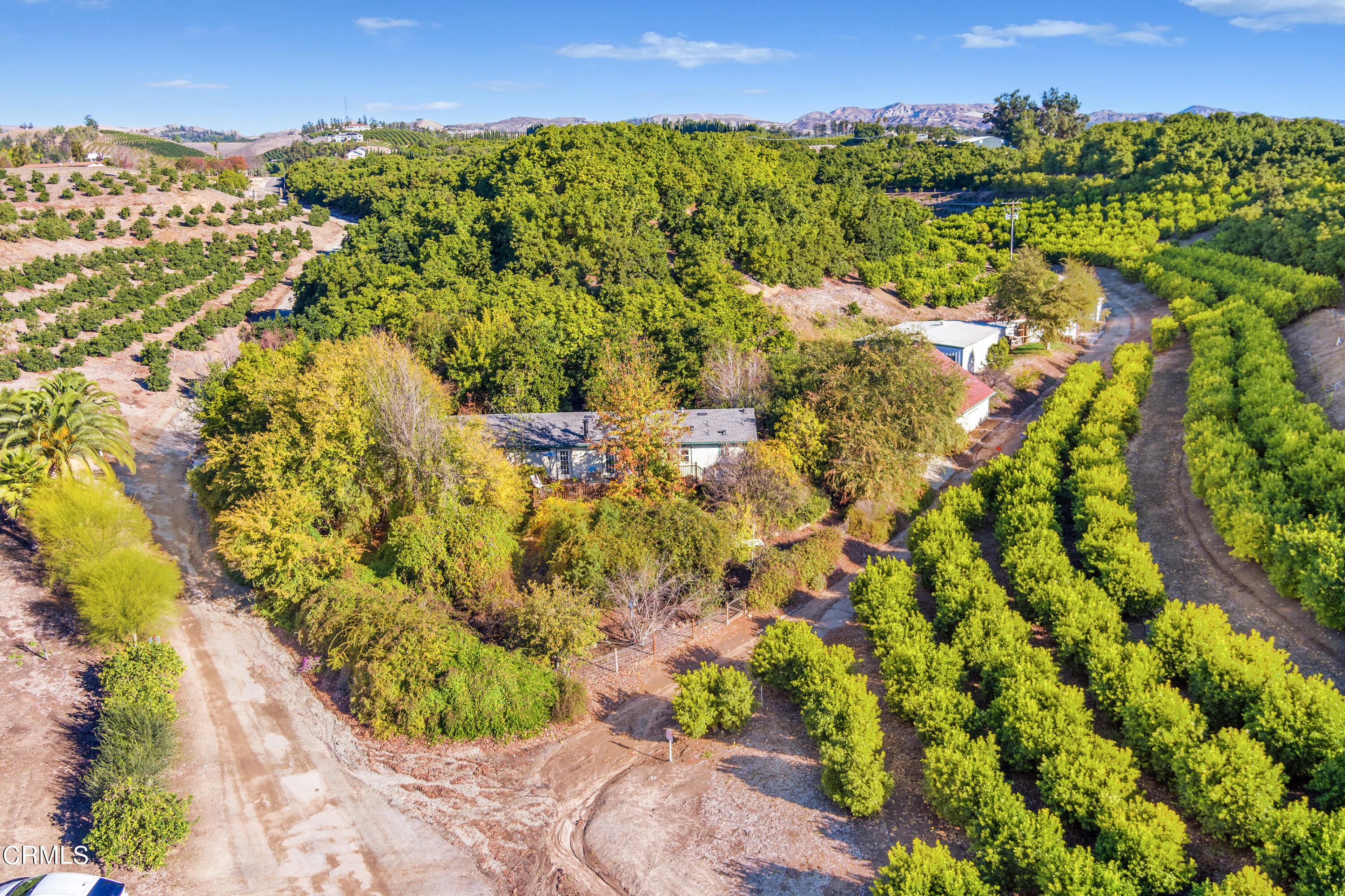 6500 Chagall Drive Moorpark, CA 93021 - Photo 6 of 40 a view of a bunch of trees