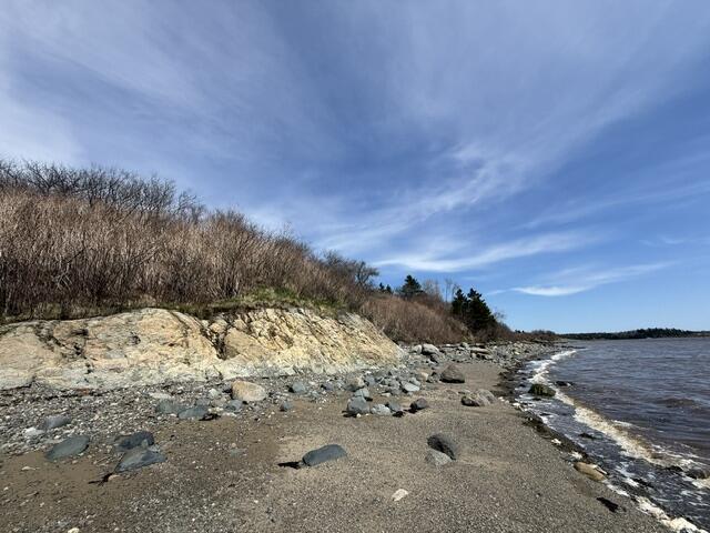 Lot 6 Holmes Bay Farms Road Whiting, ME 04691 - Photo 14 of 15 IMG_9084 (1)