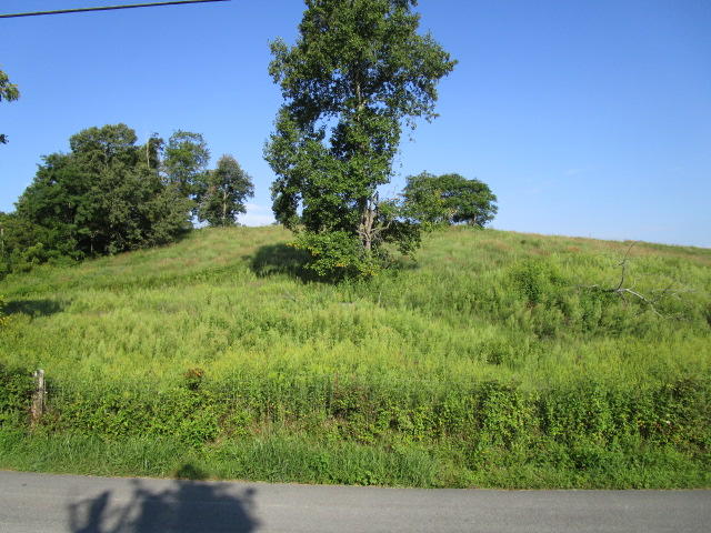 Elm Springs Road Washburn, TN 37888 - Photo 1 of 11 IMG_1636