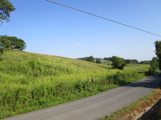 Elm Springs Road Washburn, TN 37888 - Photo 2 of 11 IMG_1637