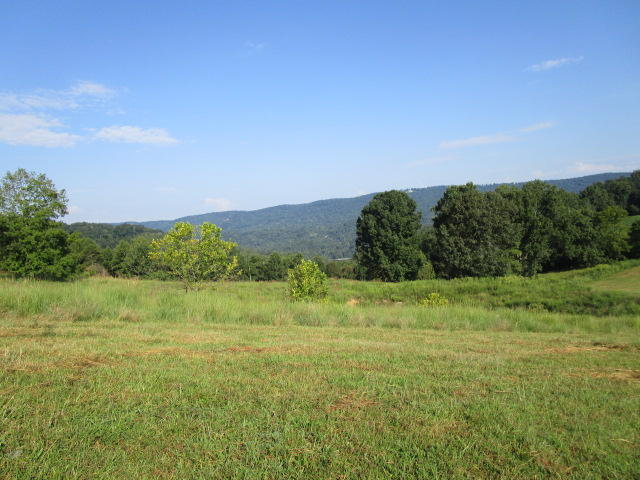 Elm Springs Road Washburn, TN 37888 - Photo 11 of 11 IMG_1647