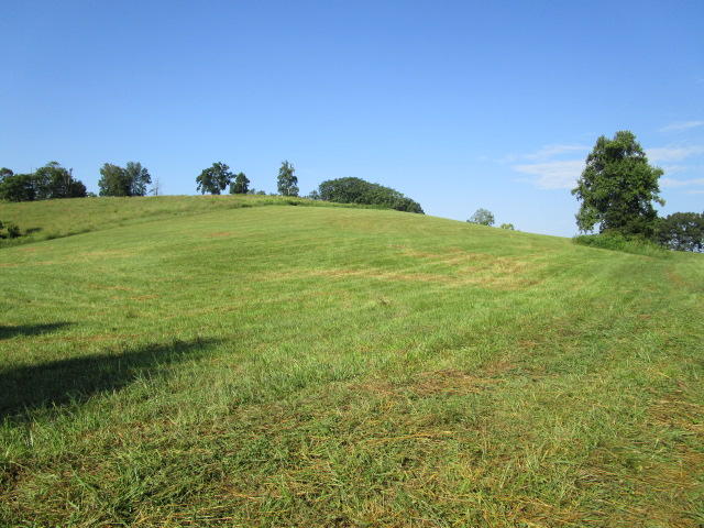Elm Springs Road Washburn, TN 37888 - Photo 3 of 11 IMG_1638