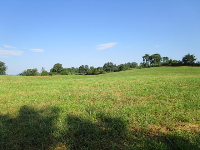 Elm Springs Road Washburn, TN 37888 - Photo 4 of 11 IMG_1639