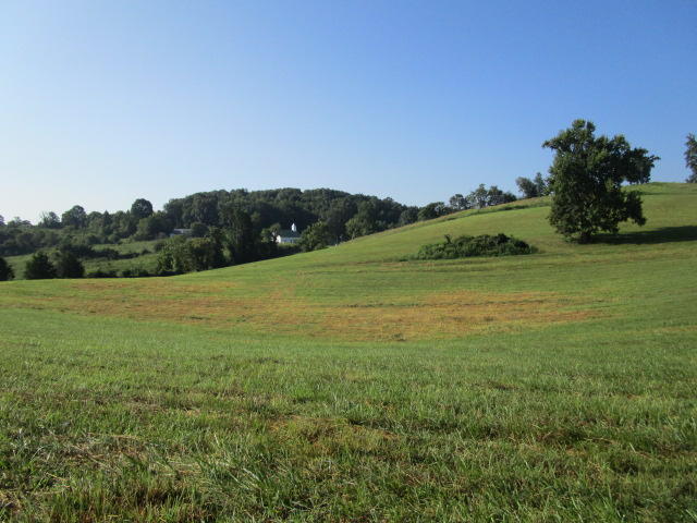 Elm Springs Road Washburn, TN 37888 - Photo 5 of 11 IMG_1640