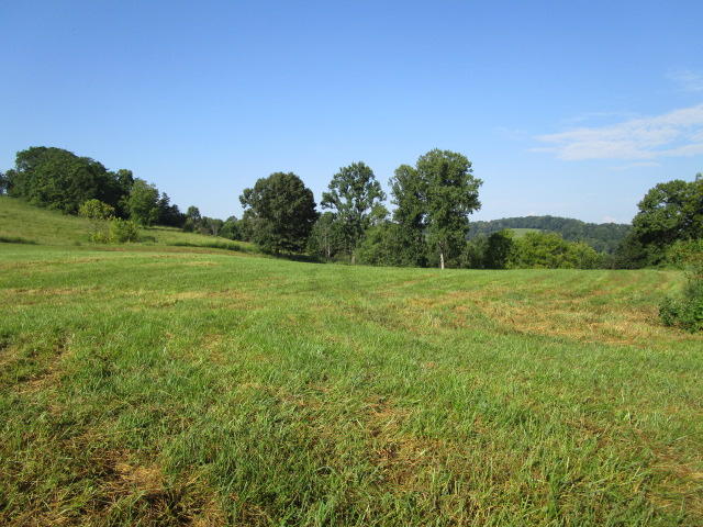 Elm Springs Road Washburn, TN 37888 - Photo 6 of 11 IMG_1641