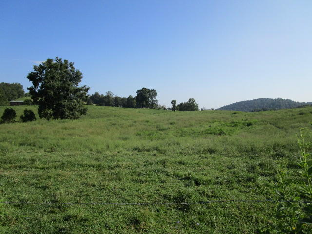 Elm Springs Road Washburn, TN 37888 - Photo 8 of 11 IMG_1644