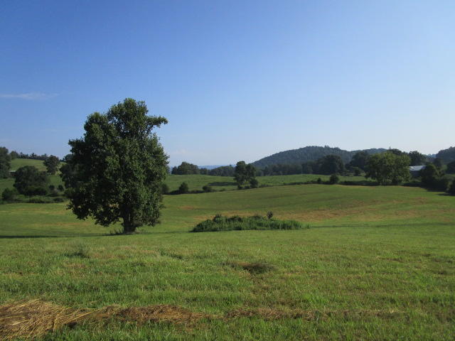 Elm Springs Road Washburn, TN 37888 - Photo 9 of 11 IMG_1645