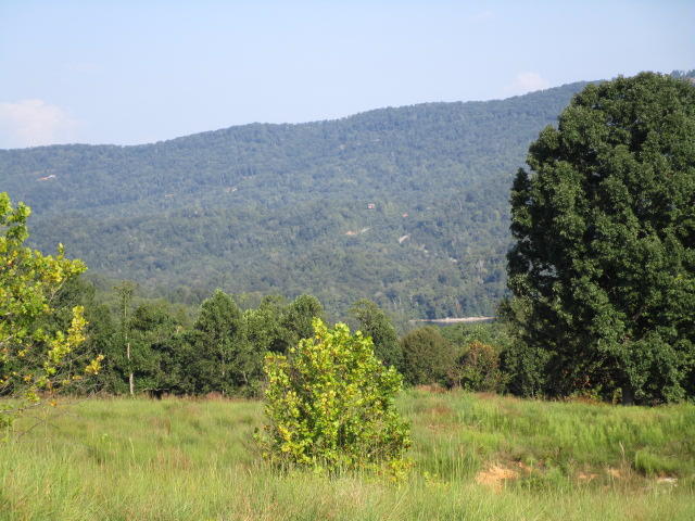 Elm Springs Road Washburn, TN 37888 - Photo 10 of 11 IMG_1646
