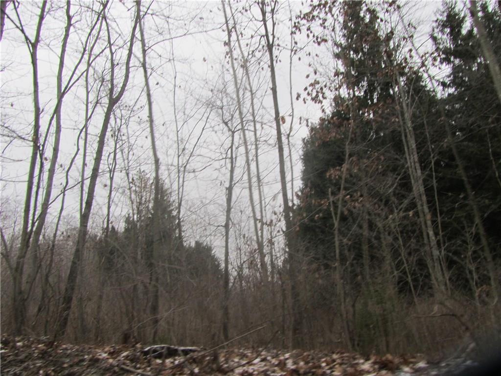 Land Patton Road Harrisville, PA 16038 - Photo 2 of 18