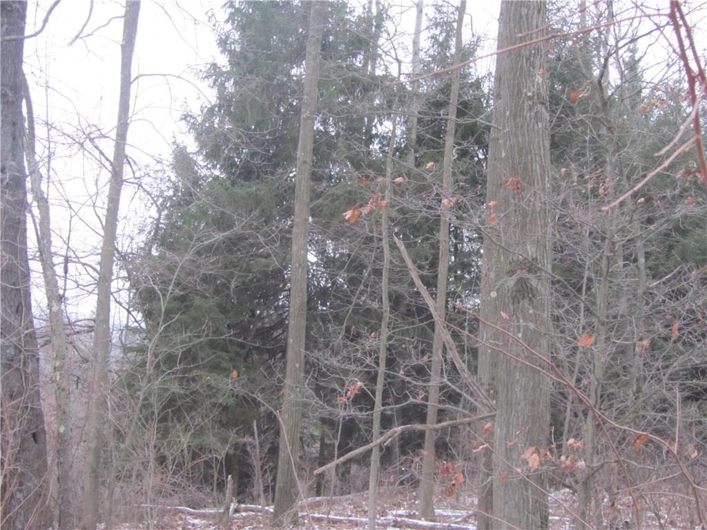 Land Patton Road Harrisville, PA 16038 - Photo 11 of 18