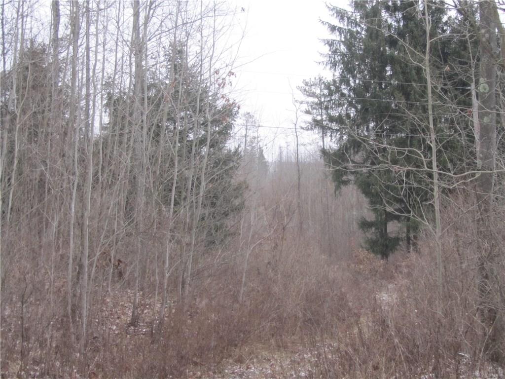 Land Patton Road Harrisville, PA 16038 - Photo 14 of 18