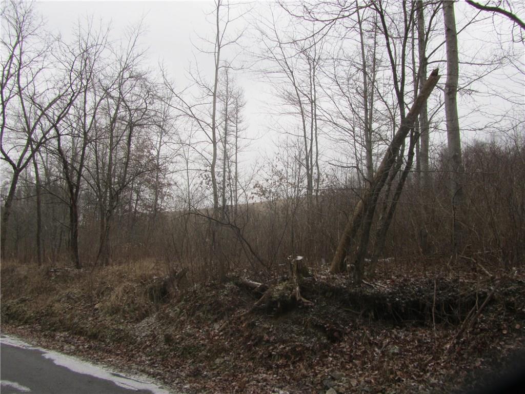 Land Patton Road Harrisville, PA 16038 - Photo 15 of 18
