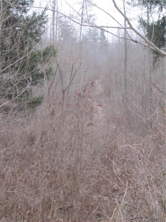 Land Patton Road Harrisville, PA 16038 - Photo 16 of 18