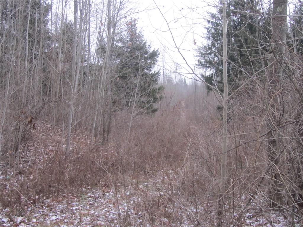 Land Patton Road Harrisville, PA 16038 - Photo 17 of 18