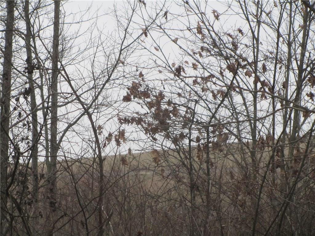 Land Patton Road Harrisville, PA 16038 - Photo 18 of 18